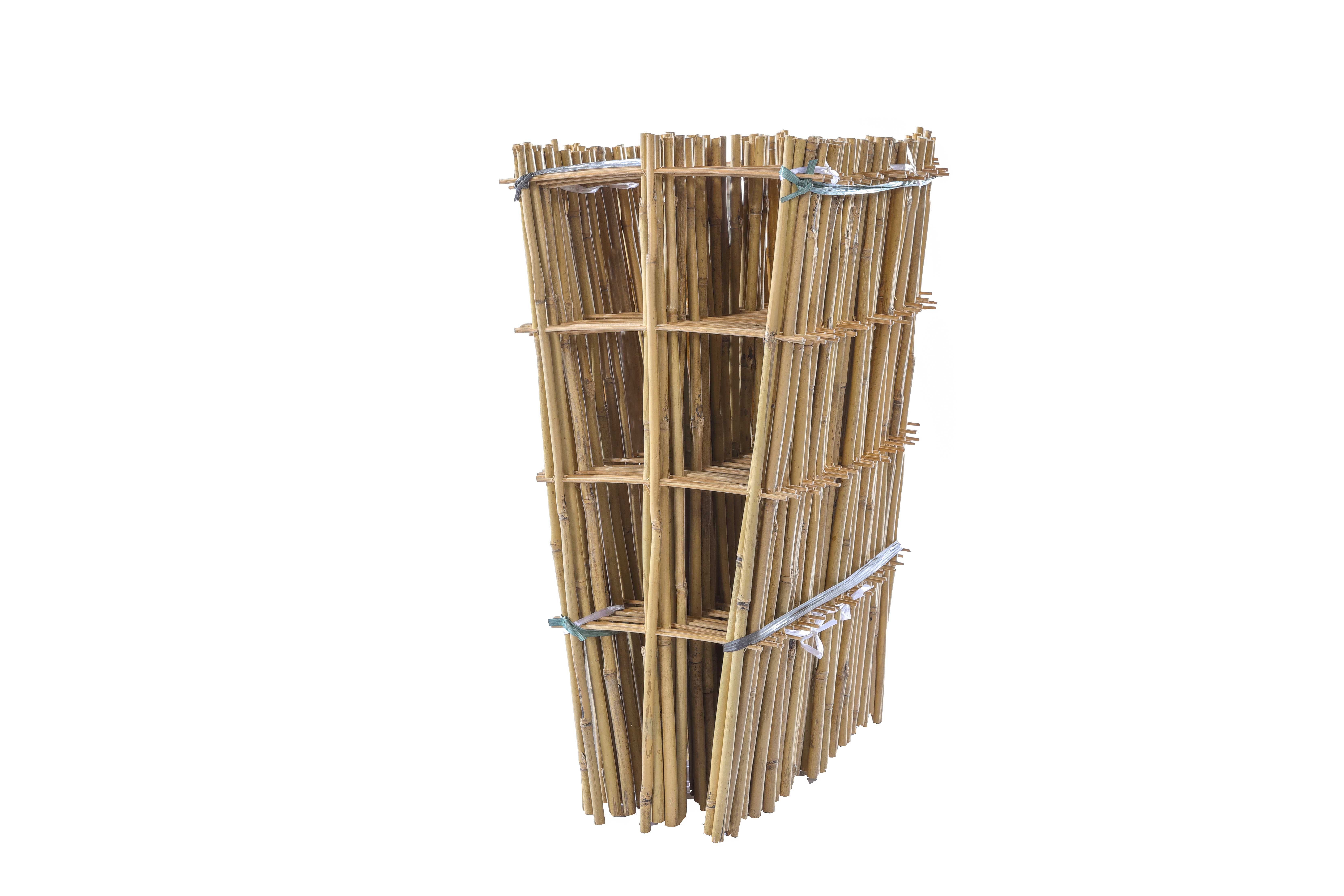 Bamboo Ladder